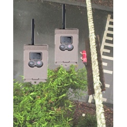 Rope Bridge Camera System