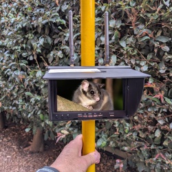 LCD-18  Video Monitor with Pole Mount