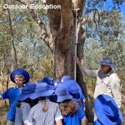 school children inspecting nest boxes