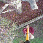 normal camera ovehead view