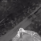 thermal camera overhead view