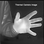 thermal image hand