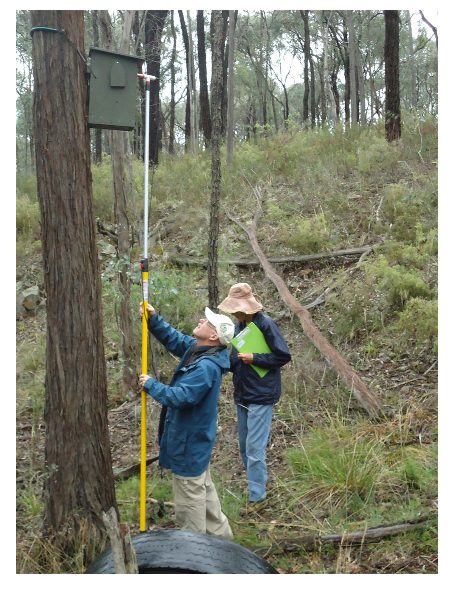 nest box inspection camera