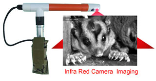 nest box inspection camera